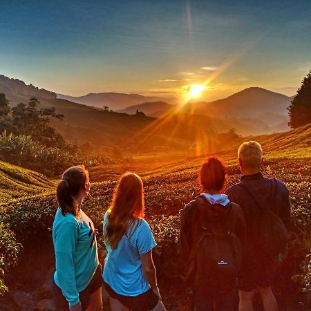 مرتفعات كاميرون C1 Backpackers Hostel المظهر الخارجي الصورة